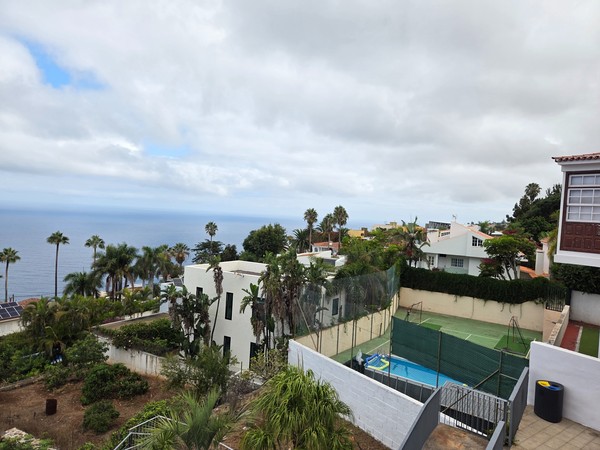 Vista panorámica de El Sauzal con casas rodeadas de vegetación, palmeras y el océano Atlántico al fondo.