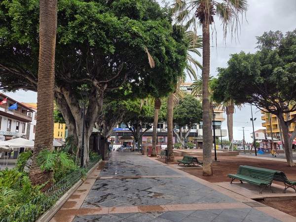 Paseo arbolado en el centro de Puerto de la Cruz, con bancos verdes, palmeras y calles peatonales rodeadas de vegetación urbana.