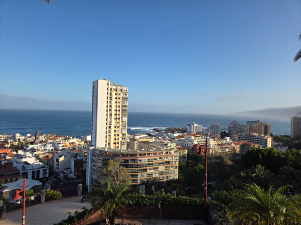 Vista panorámica de Puerto de la Cruz desde el Parque Taoro, con edificios, palmeras y el océano Atlántico al fondo.