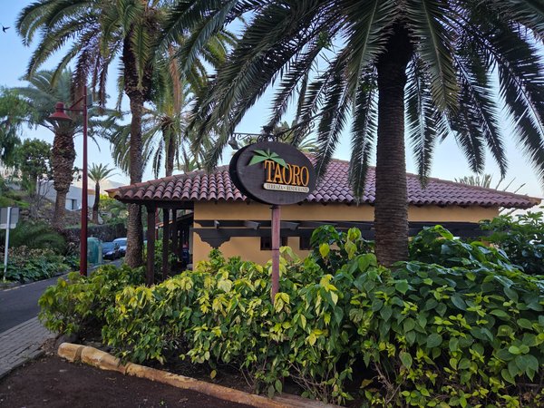 Terraza Taoro en Puerto de la Cruz, con restaurante rodeado de palmeras, vegetación tropical y un cartel identificativo en un entorno ajardinado.